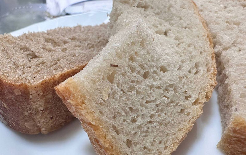 На Камчатке проверяют школу после сообщений о хлебе с личинками в столовой | В школах Камчатского края проверяют питание из-за подозрительного хлеба На Камчатке проверяют школу после сообщений о хлебе с личинками в столовой | В школах Камчатского края проверяют питание из-за подозрительного хлеба