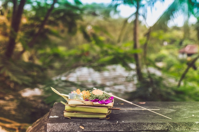 На Бали начался массовый голод На Бали начался массовый голод