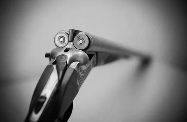 В Смоленске пьяный мужчина устроил стрельбу по людям В Смоленске пьяный мужчина устроил стрельбу по людям