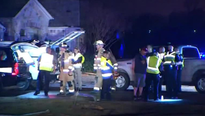 Собака спасла девочек, в которых попала молния Собака спасла девочек, в которых попала молния