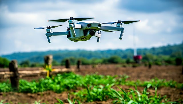 «Жертвы» ТВ! Женщина в Новой Москве приняла за беспилотник выброшенный игрушечный самолёт «Жертвы» ТВ! Женщина в Новой Москве приняла за беспилотник выброшенный игрушечный самолёт