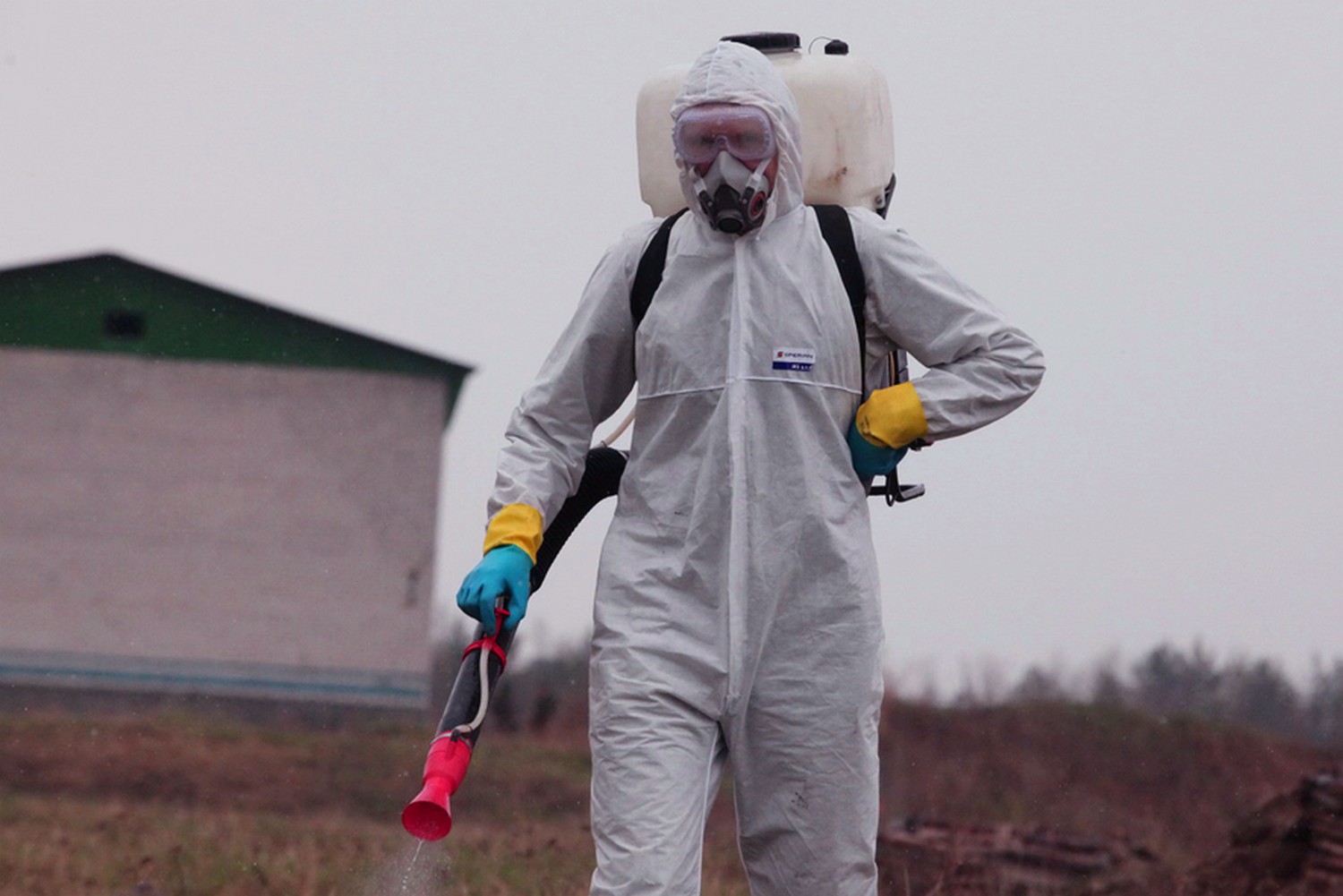 Названы регионы России, особо опасные из-за клещевого энцефалита Названы регионы России, особо опасные из-за клещевого энцефалита