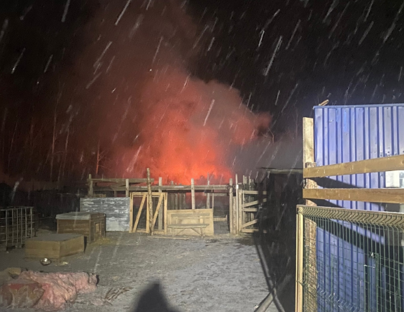 «Погибла половина животных»: пожар уничтожил питомник под Екатеринбургом «Погибла половина животных»: пожар уничтожил питомник под Екатеринбургом