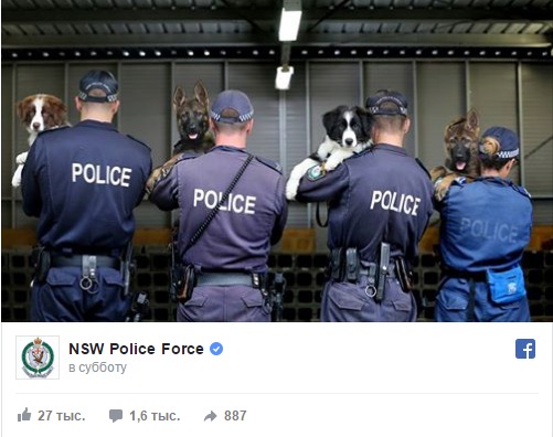 Австралийские полицейские рассказывают о своих буднях в соцсетях Австралийские полицейские рассказывают о своих буднях в соцсетях
