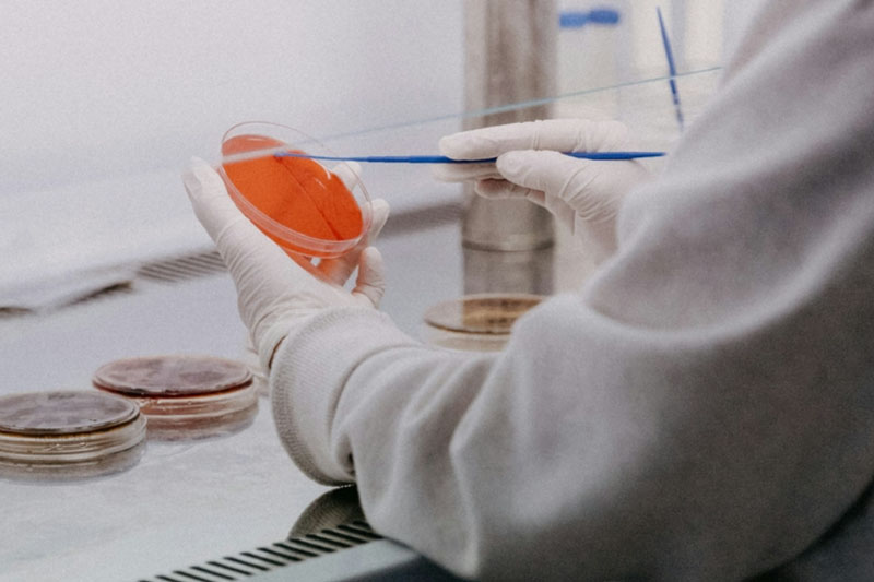 Прорыв в борьбе с ВИЧ: ученые нашли способ "рассекретить" вирус в клетках | Ученые из Мельбурна сделали ВИЧ видимым для лечения в лейкоцитах