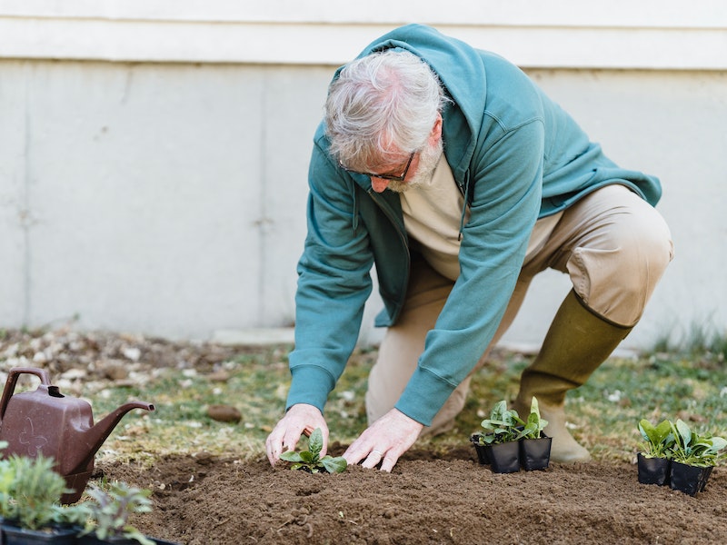 Дачникам рассказали, что посадить в огороде в апреле | Садовод Кашнова рассказала, что в апреле можно посадить овощные культуры Дачникам рассказали, что посадить в огороде в апреле | Садовод Кашнова рассказала, что в апреле можно посадить овощные культуры