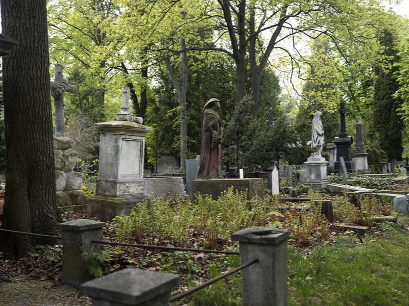 Спецтехника на кладбище: юридические нюансы | Юрист Митин: использование спецтехники на кладбище — это законно, но есть нюансы