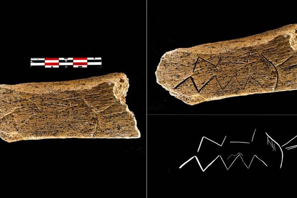 Археологи нашли в Брянской области уникальный образец искусства неандертальцев