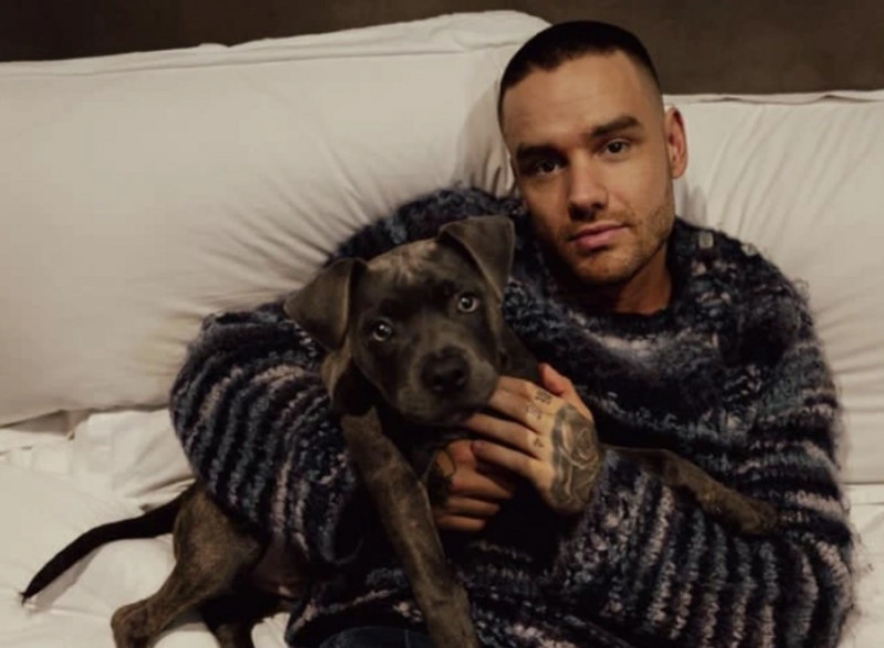 Разбился, упав с балкона: умер экс-солист группы One Direction Лиам Пейн | Бывший солист One Direction Лиам Пейн разбился, упав с балкона третьего этажа Разбился, упав с балкона: умер экс-солист группы One Direction Лиам Пейн | Бывший солист One Direction Лиам Пейн разбился, упав с балкона третьего этажа