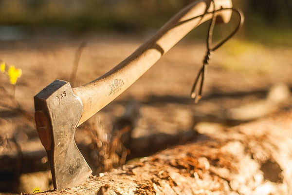 Жительница Балашихи расчленила пожилого отца и спрятала останки в холодильнике | В Подмосковье дочь расчленила отца во время ужина