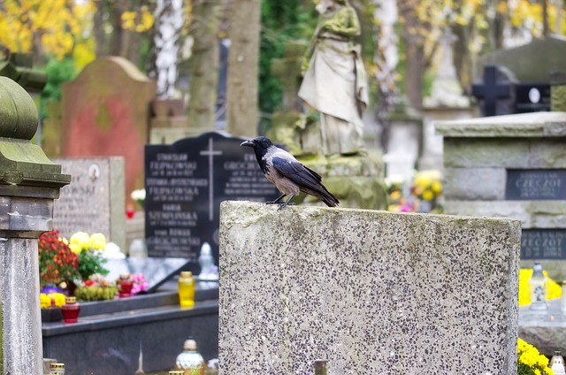 Мужчину нашли живым на кладбище через четыре месяца после его похорон Мужчину нашли живым на кладбище через четыре месяца после его похорон