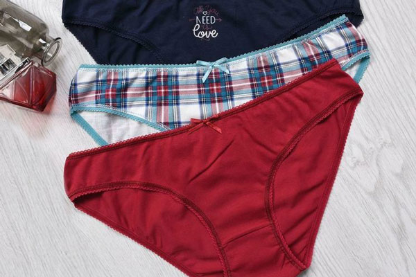 У россиянина из квартиры выкрали женские трусы на 500 тысяч рублей У россиянина из квартиры выкрали женские трусы на 500 тысяч рублей