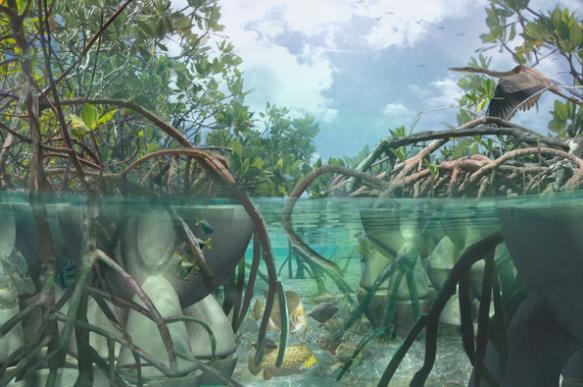 Жизнь на Земле могла существовать с самого начала Жизнь на Земле могла существовать с самого начала