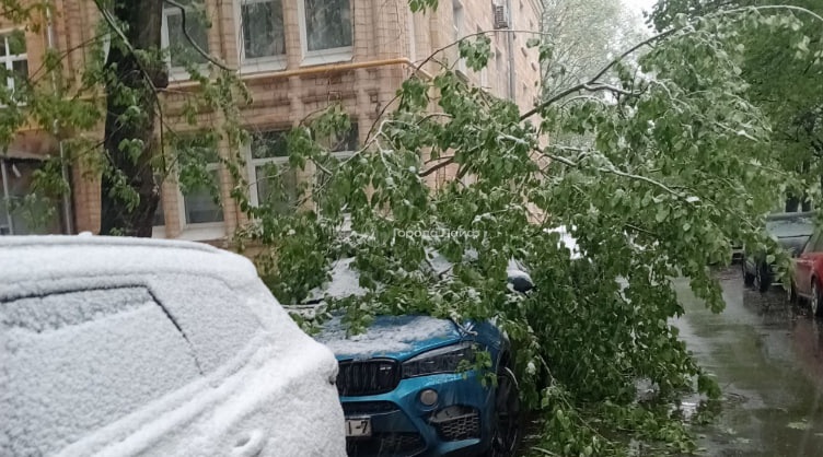 Снегопад в Москве привел к массовым повреждениям машин и сбоям в движении транспорта | В Москве из-за снегопада деревья массово попадали на машины Снегопад в Москве привел к массовым повреждениям машин и сбоям в движении транспорта | В Москве из-за снегопада деревья массово попадали на машины