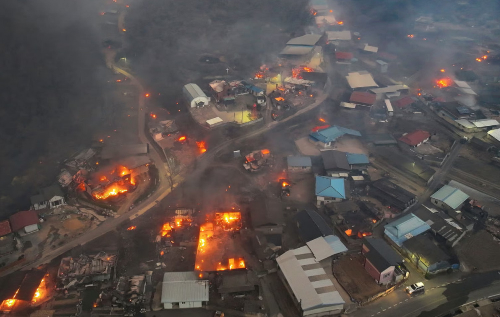 "Десятки тысяч эвакуировались": в Южной Корее шесть дней бушую лесные пожары | В Южной Корее 18 человек погибли из-за массовых лесных пожаров
