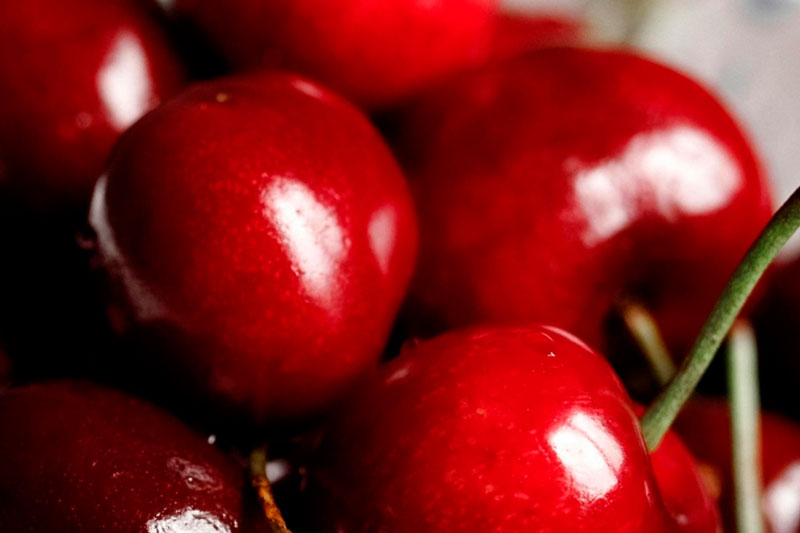Гастроэнтеролог рассказала, стоит ли покупать раннюю черешню | Врач Кашух: раннюю черешню нужно внимательно выбирать