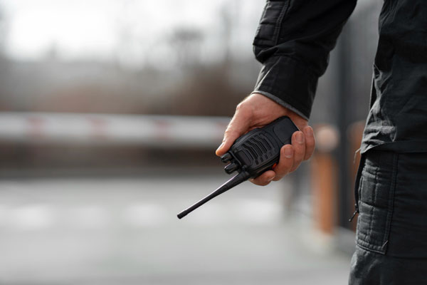 Наркодилеры увеличили ввоз кокаина в Россию | "Известия": ввоз кокаина в Россию увеличился