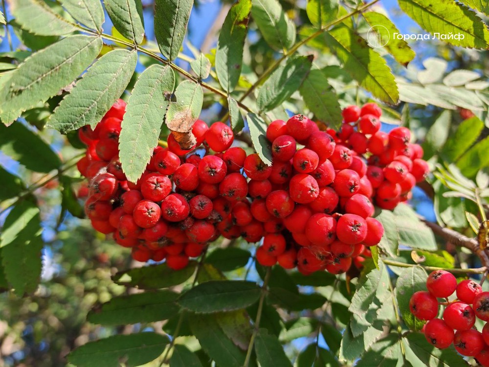 12 сентября — день Александра Сытника: запреты и приметы дня | Народные приметы и запреты на 12 сентября — день Александра Сытника 12 сентября — день Александра Сытника: запреты и приметы дня | Народные приметы и запреты на 12 сентября — день Александра Сытника