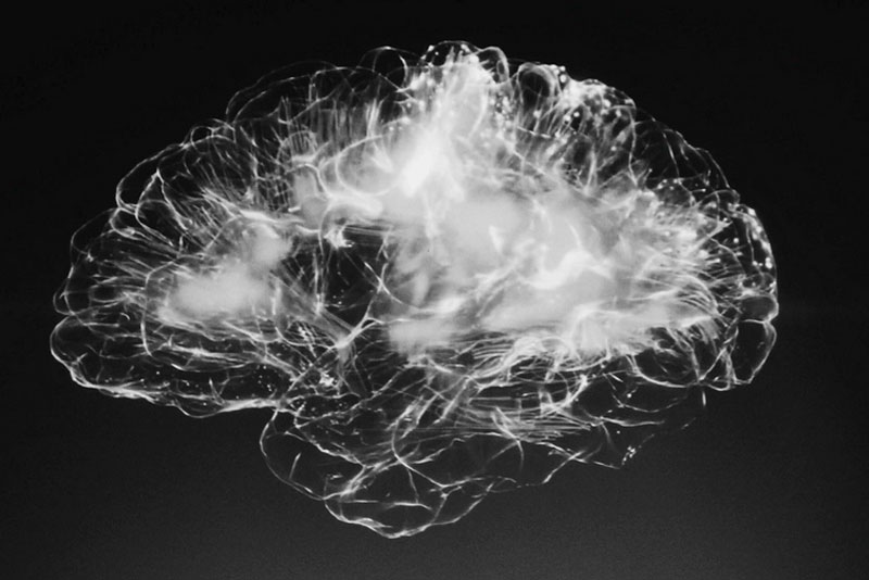 Нейробиологи первые в истории зафиксировали мозговую активность умирающего человека | Учёные впервые увидели, что происходит в мозге умирающего человека Нейробиологи первые в истории зафиксировали мозговую активность умирающего человека | Учёные впервые увидели, что происходит в мозге умирающего человека