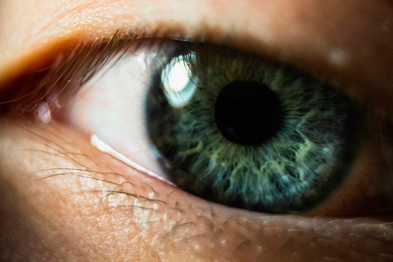 Офтальмолог рассказал о простом способе избежать близорукости | Офтальмолог Светлаков: прогулки на свежем воздухе являются профилактикой миопии Офтальмолог рассказал о простом способе избежать близорукости | Офтальмолог Светлаков: прогулки на свежем воздухе являются профилактикой миопии