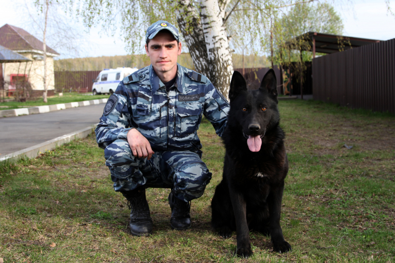 Служебная собака полицейского кинолога спасла пропавшего 4-летнего мальчика в Орле