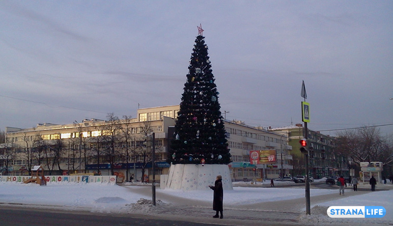 Когда надо, но в бюджете нет средств. Как на «заводской» окраине Екатеринбурга построили бессмысленную новогоднюю елку Когда надо, но в бюджете нет средств. Как на «заводской» окраине Екатеринбурга построили бессмысленную новогоднюю елку
