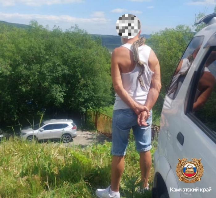 Приехал пьяным и со змеей: на Камчатке 63-летний гражданин хотел вернуть права, но попал под арест | На Камчатке пьяный водитель с змеей попытался оспорить лишение прав Приехал пьяным и со змеей: на Камчатке 63-летний гражданин хотел вернуть права, но попал под арест | На Камчатке пьяный водитель с змеей попытался оспорить лишение прав
