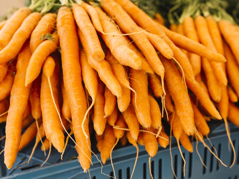 Морковь в России подскочила в цене почти на 5% за неделю  | Росстат зафиксировал рост цен на морковь 