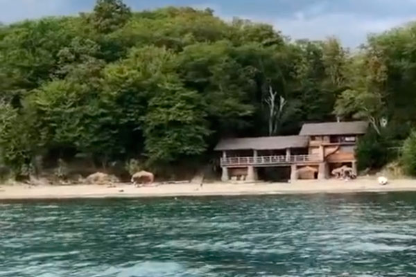 Обнаруженный в Абхазии таинственный остров вызвал споры в сети