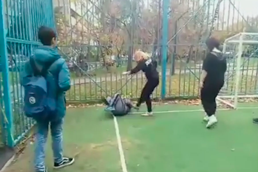 В Зеленограде девочки жестоко избили школьника якобы из-за оскорблений матери