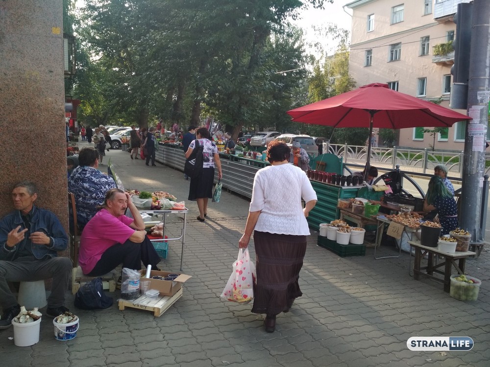 «Базарная мафия». На стихийных рынках, где торгуют садоводы, свои порядки. Выдерживают их не все...