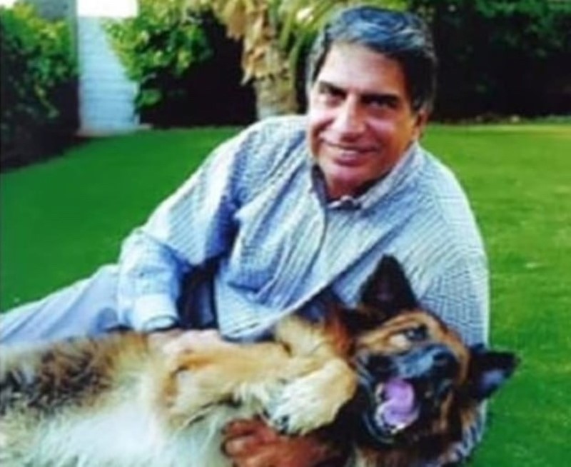 Пес-миллионер: богач из Индии оставил состояние больше чем в 100 млн долларов своей любимой собаке | Самая богатая и счастливая собака найдена в Индии