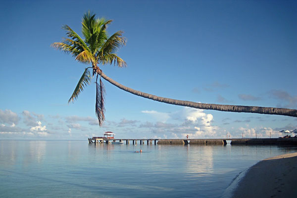 В берегов Индонезии произошло землетрясение магнитудой 5,6 | Землетрясение произошло у берегов Индонезии