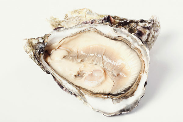 Во Франции нашли рекордную устрицу весом 2,3 кг