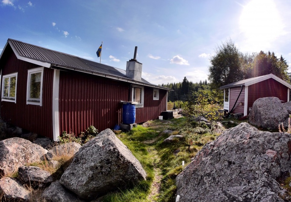 От каких налогов освободили дачников с 29 октября: список