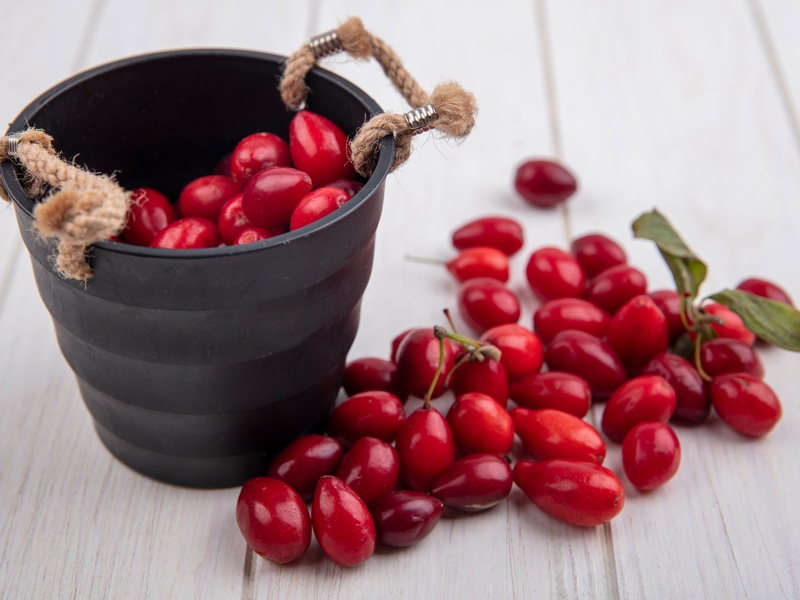 Как укрепить иммунитет осенью: полезные ягоды, пряности и простые рецепты | Осенние ягоды и специи, которые укрепят иммунитет и защитят от простуды