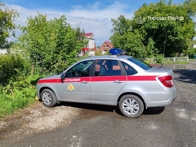 «Не помню, как за руль сел!» - Неудачный угон служебного автомобиля Росгвардии в Москве | В Москве задержан мужчина, угнавший автомобиль Росгвардии «Не помню, как за руль сел!» - Неудачный угон служебного автомобиля Росгвардии в Москве | В Москве задержан мужчина, угнавший автомобиль Росгвардии