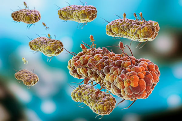 В Индии подросток скончался из-за заразившей мозг амёбы В Индии подросток скончался из-за заразившей мозг амёбы