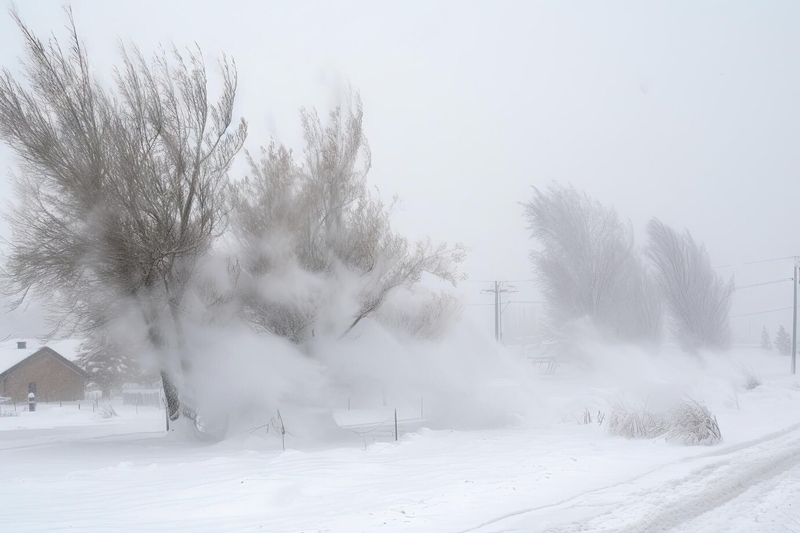 Половину России накроет крупный циклон | Синоптик Шувалов: крупнейший циклон накроет часть России