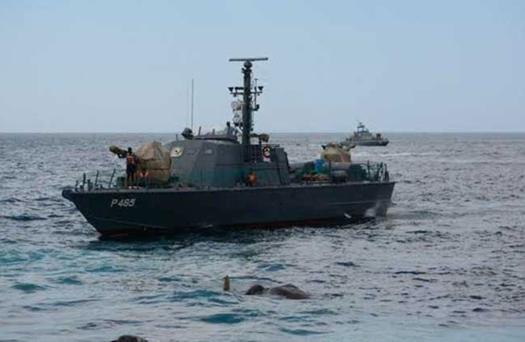 Военные моряки выловили в Индийском океане слона. ВИДЕО