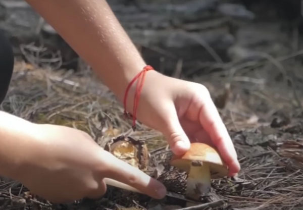 В России ужесточили ответственность за нарушения на особо охраняемых природных территориях | Штраф до 200 тысяч: что нельзя делать в заповедниках и на охраняемых территориях В России ужесточили ответственность за нарушения на особо охраняемых природных территориях | Штраф до 200 тысяч: что нельзя делать в заповедниках и на охраняемых территориях