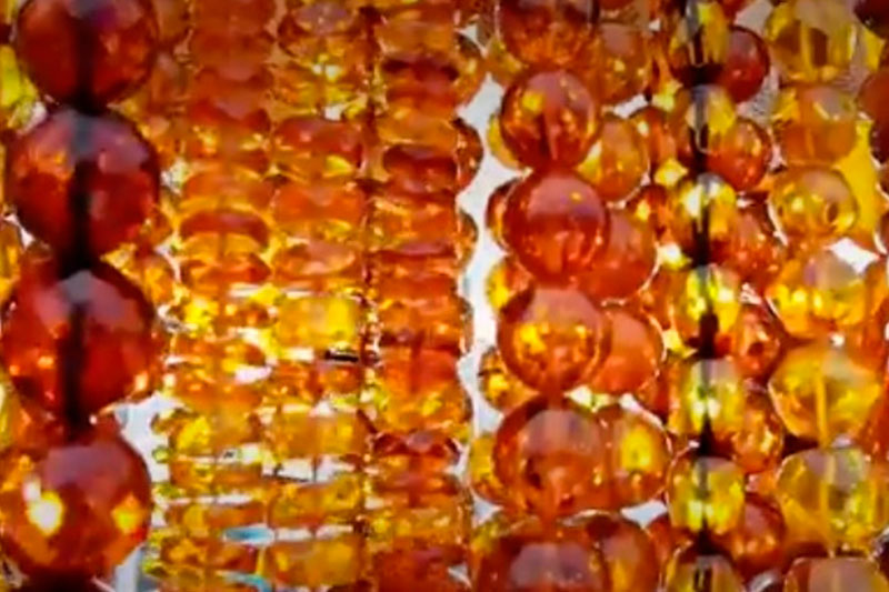 Уникальное открытие: немецкие биологи нашли яйцо бабочки в янтаре под Калининградом – «Это новый род и вид!» | В российском регионе впервые нашли бабочку в янтаре Уникальное открытие: немецкие биологи нашли яйцо бабочки в янтаре под Калининградом – «Это новый род и вид!» | В российском регионе впервые нашли бабочку в янтаре