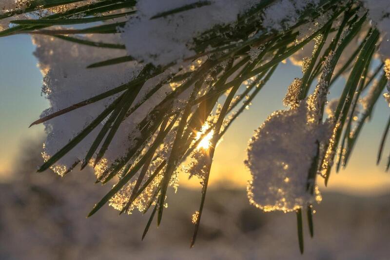 Синоптики рассказали, какой будет погода в Москве в новогоднюю ночь | В Москве 31 декабря ожидаются снег и умеренный мороз