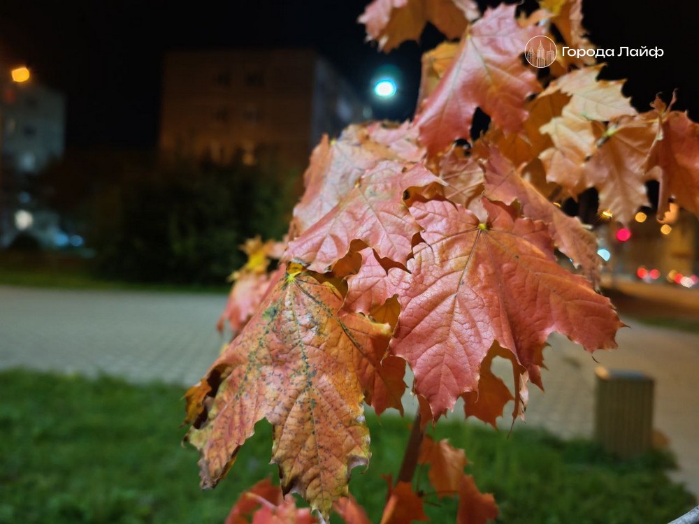 Народные приметы 5 октября 2025 года и церковные праздники | 5 октября день Ионы и Фока