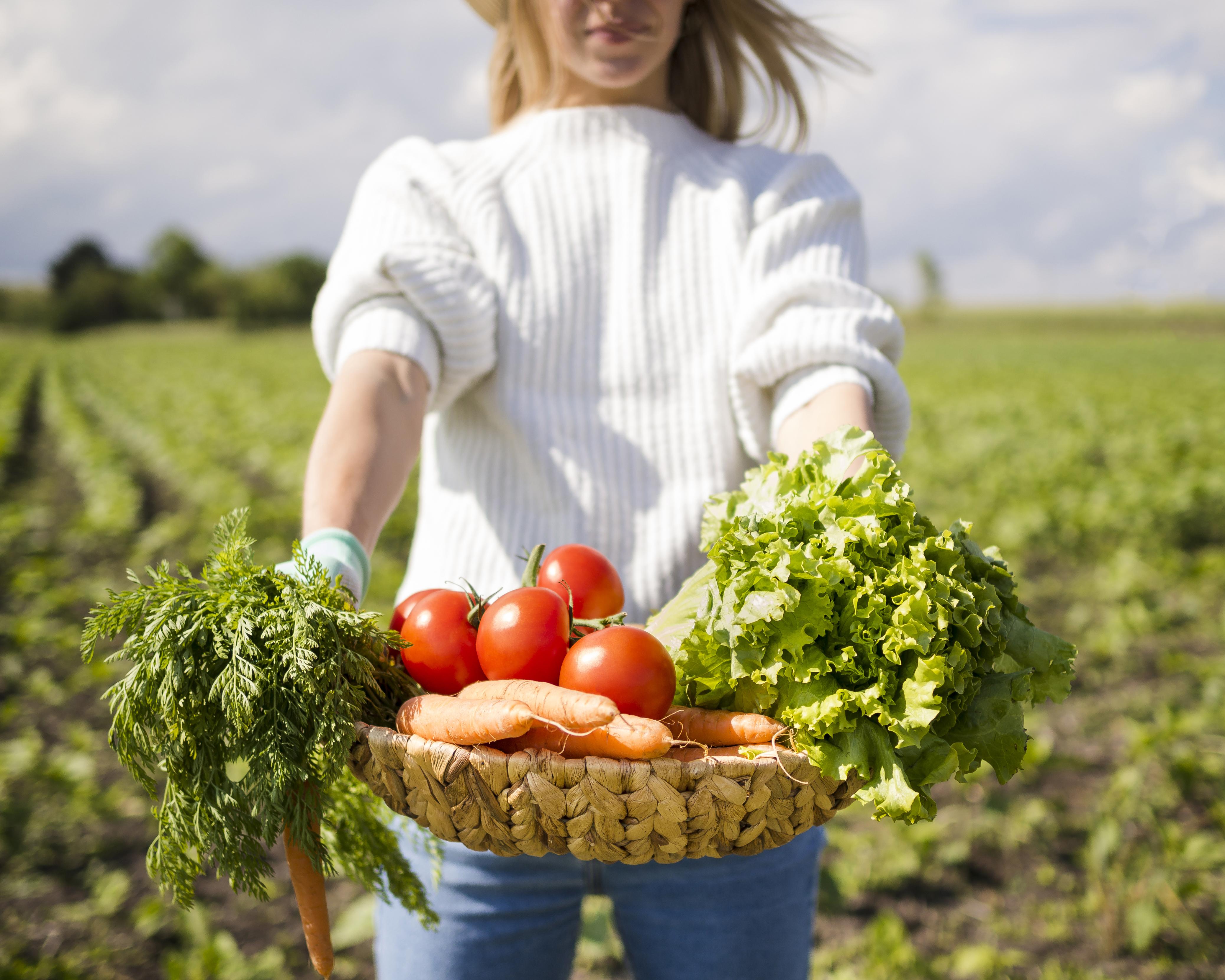 Вы собираете урожай слишком рано — и сами лишаете себя вкуса (ошибка 90%) Вы собираете урожай слишком рано — и сами лишаете себя вкуса (ошибка 90%)