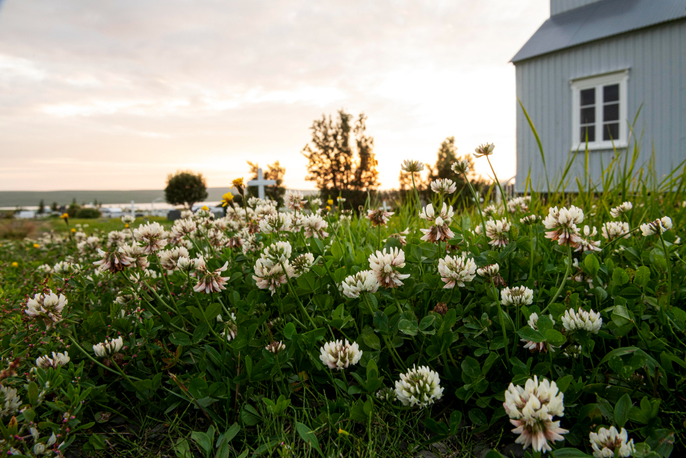 Дачникам напомнили, в каких случаях потребуется согласие соседей Дачникам напомнили, в каких случаях потребуется согласие соседей