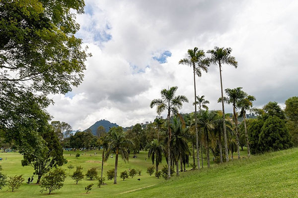 Пропавший российский путешественник вызывает тревогу: в поисках приключений в опасных джунглях Колумбии | В Колумбии пропал путешественник из России