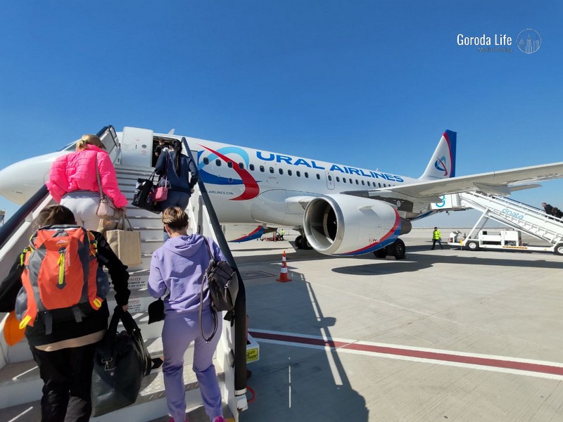 В России могут создать единый реестр авиадебоширов | Депутат Школкина предложила создать единый реестр авиадебоширов В России могут создать единый реестр авиадебоширов | Депутат Школкина предложила создать единый реестр авиадебоширов