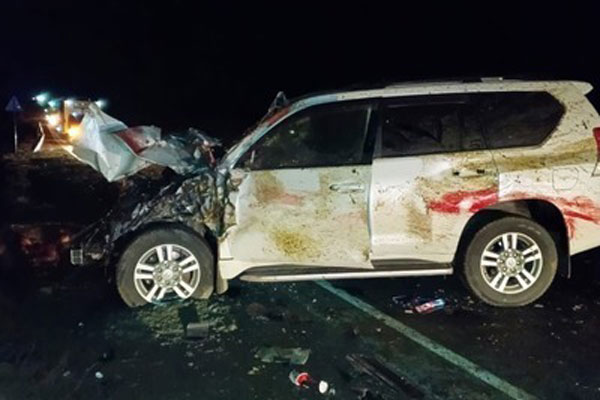 В Оренбургской области водитель внедорожника врезался в табун, погибли 14 лошадей В Оренбургской области водитель внедорожника врезался в табун, погибли 14 лошадей