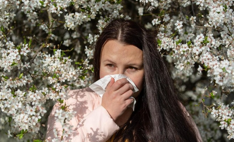 Врач назвала опасные для сезонных аллергиков продукты и растения | Три волны пыльцевой атаки: когда ждать обострения поллиноза Врач назвала опасные для сезонных аллергиков продукты и растения | Три волны пыльцевой атаки: когда ждать обострения поллиноза